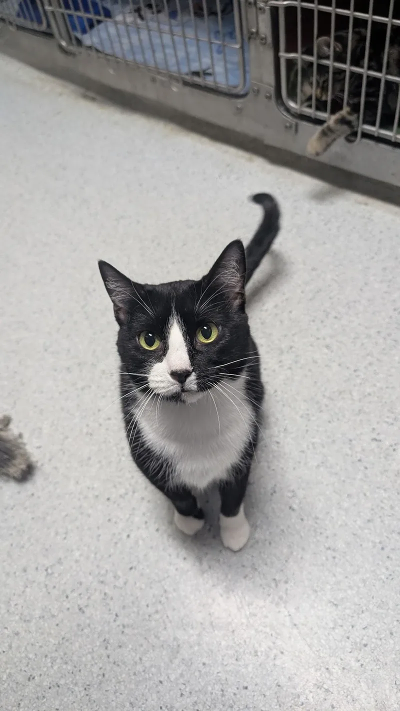 Rapunzel thumbnail 2