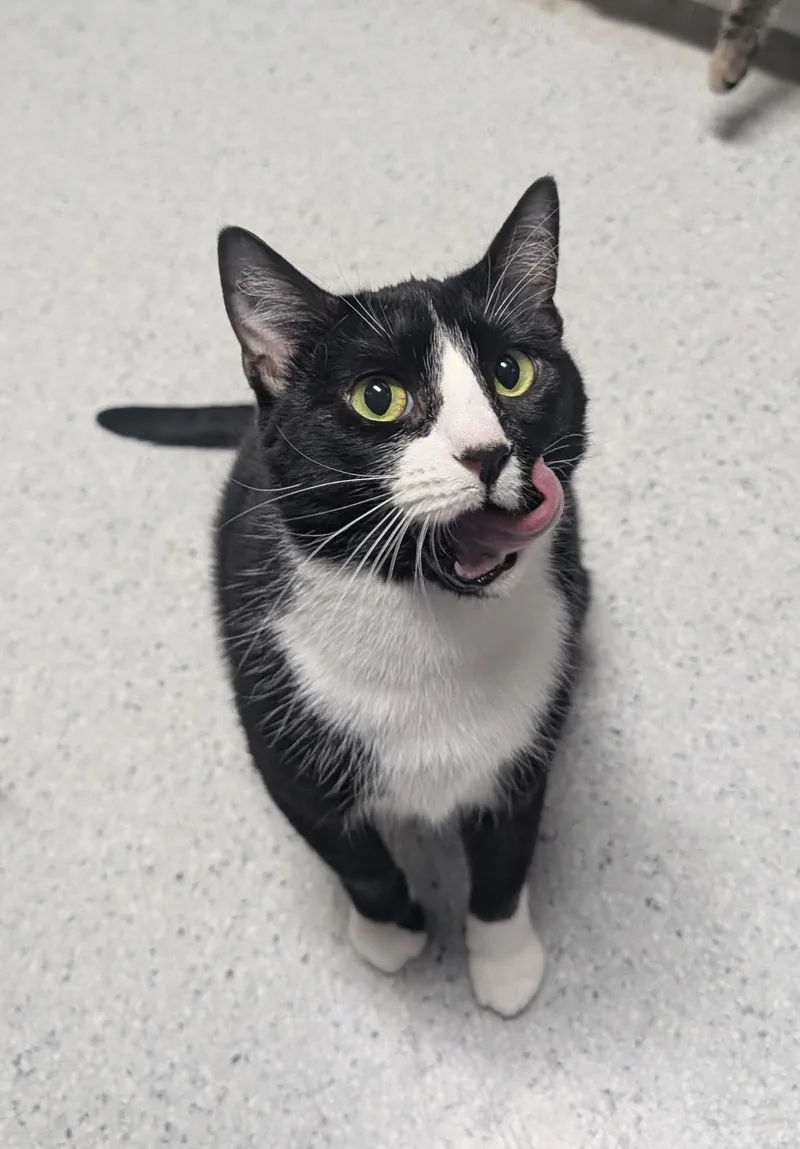 Rapunzel thumbnail 4