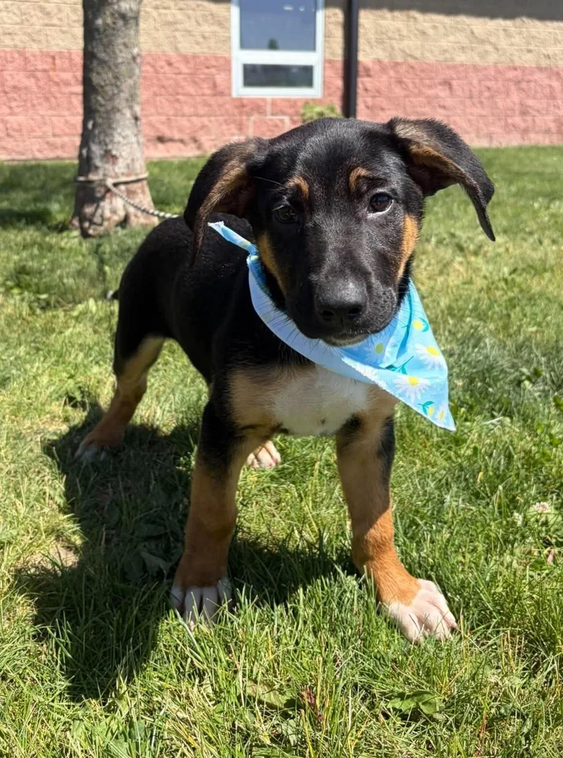 Coco
