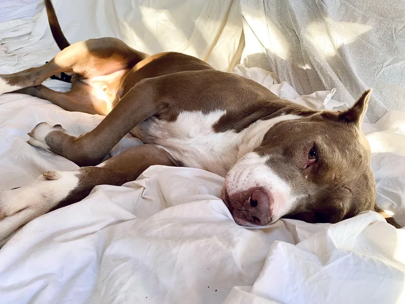 Starbucks thumbnail 3