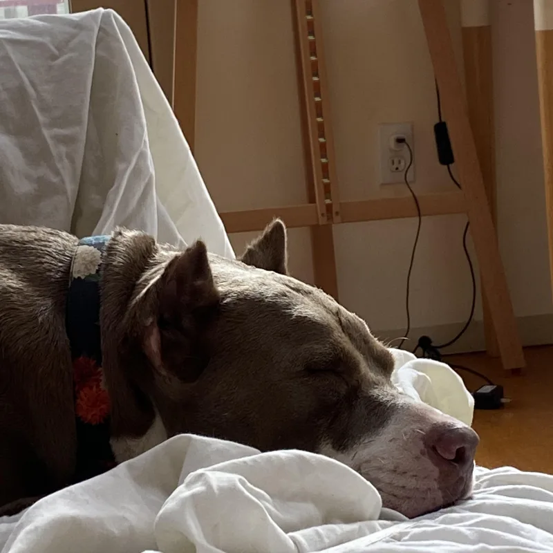 Starbucks thumbnail 4