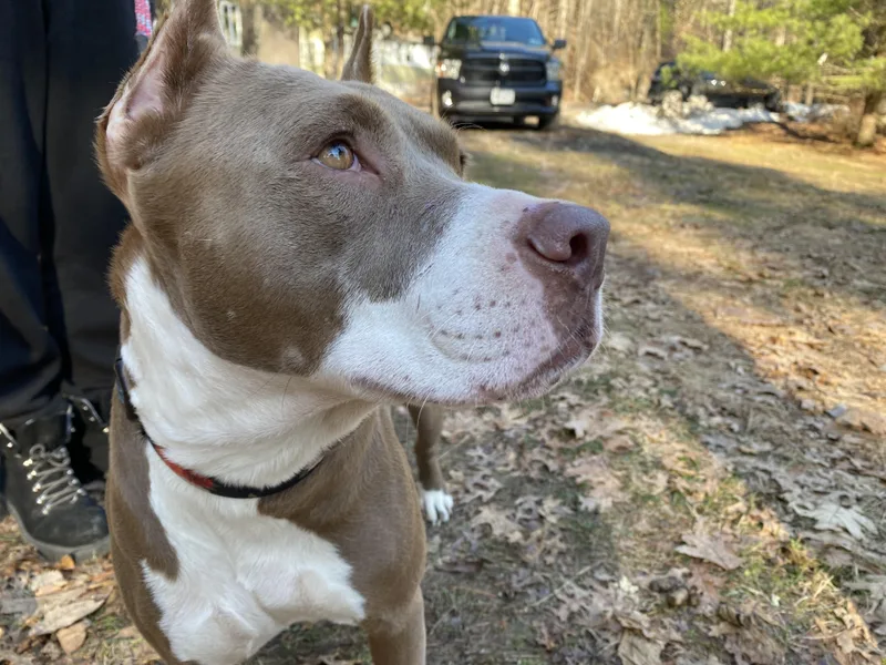 Starbucks thumbnail 5