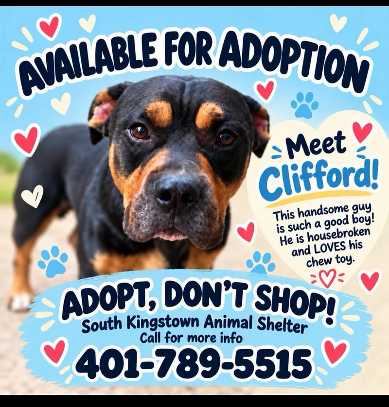 Clifford thumbnail 2