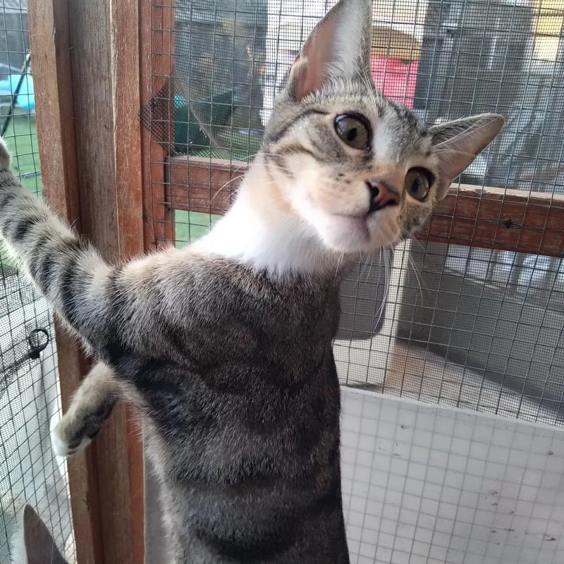 Paul Mccartney thumbnail 2