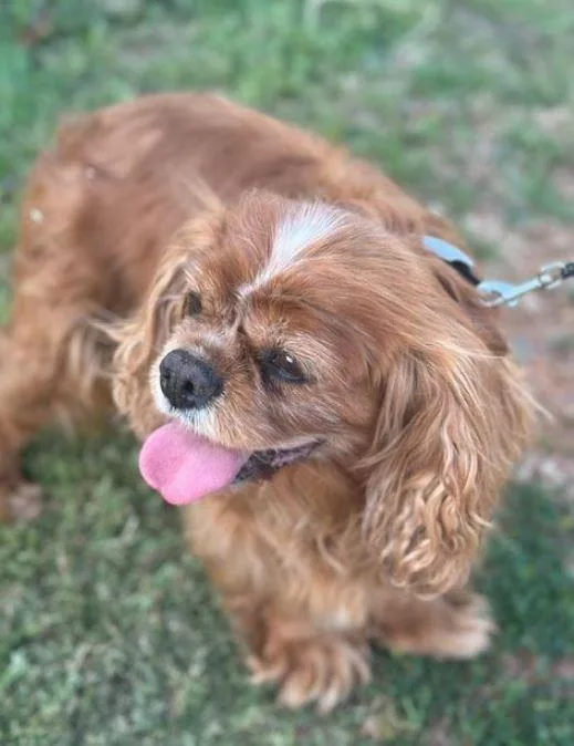 Melody Rose thumbnail 2