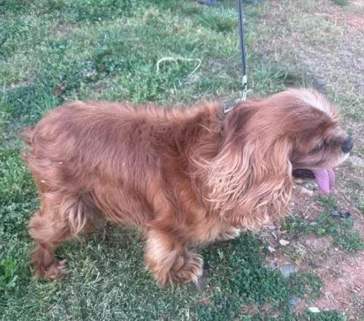 Melody Rose thumbnail 3