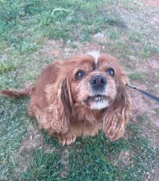 Melody Rose thumbnail 4