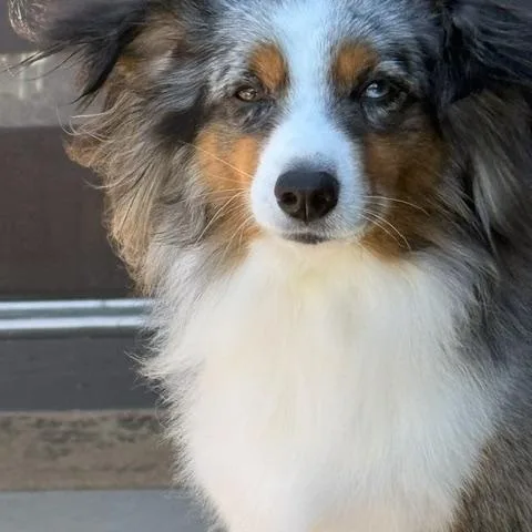 Benny