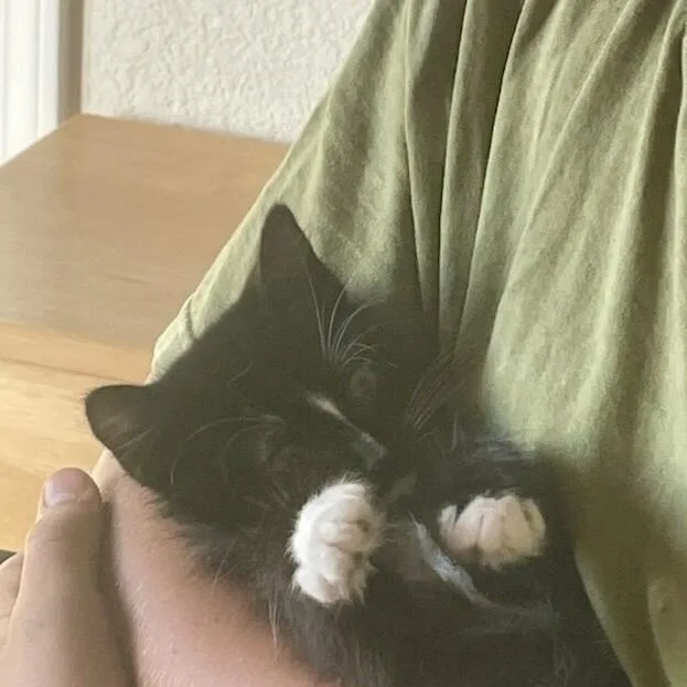 Mittens thumbnail 2
