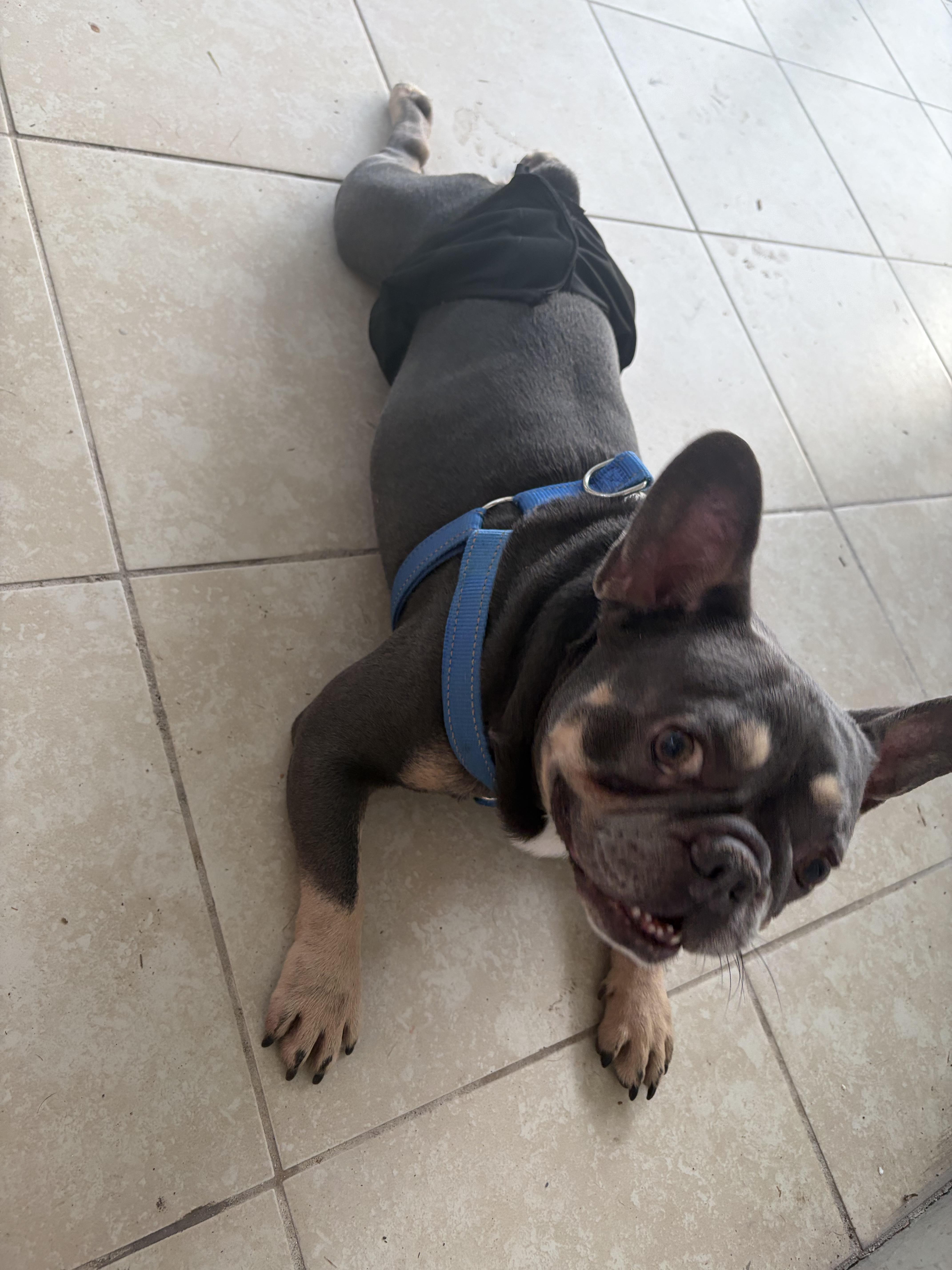 Diesel
