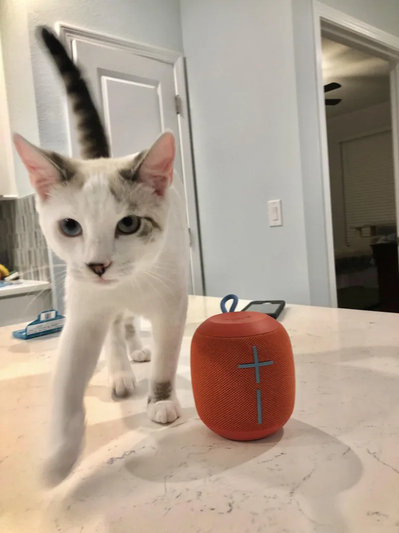 Pearlsee Video! So Sweet thumbnail 3