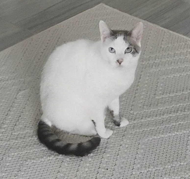 Pearlsee Video! So Sweet thumbnail 4