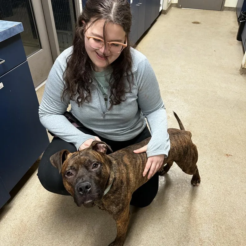Tater Tot thumbnail 4