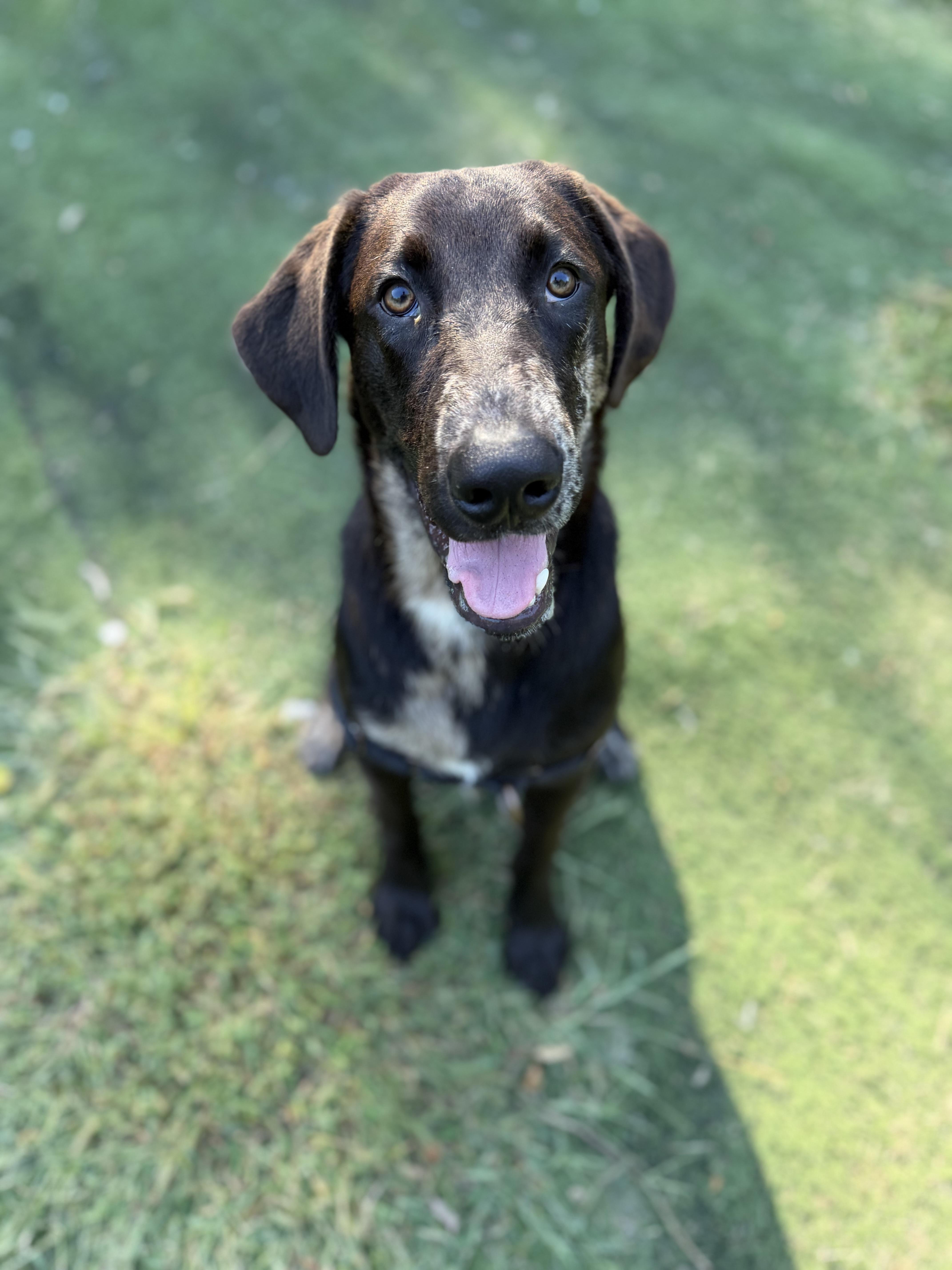 Finn
