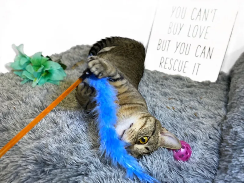 Eeyore thumbnail 3