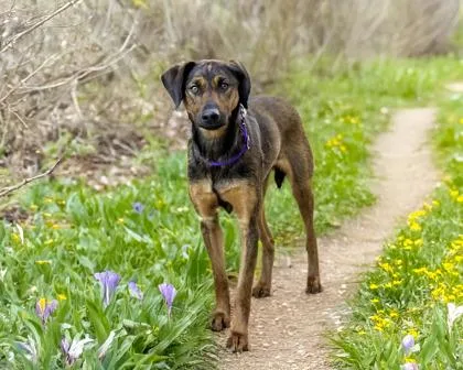 Nefertiti thumbnail 2