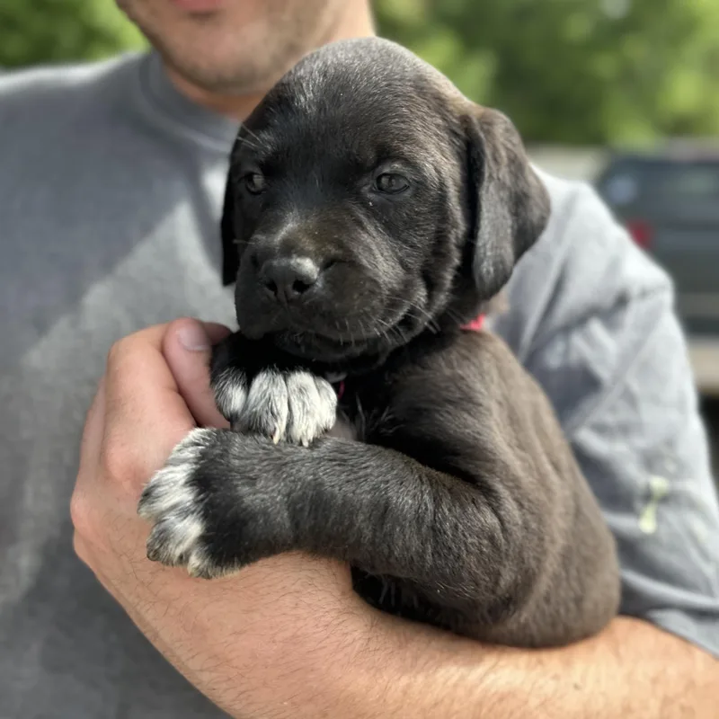 Mckinley thumbnail 2