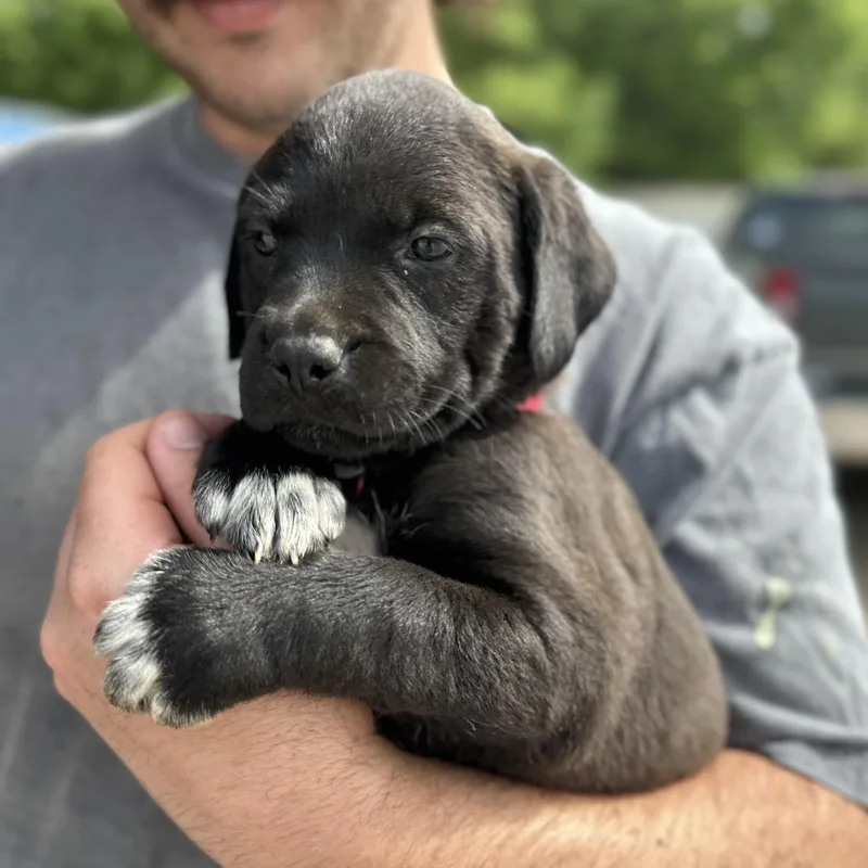 Mckinley thumbnail 4