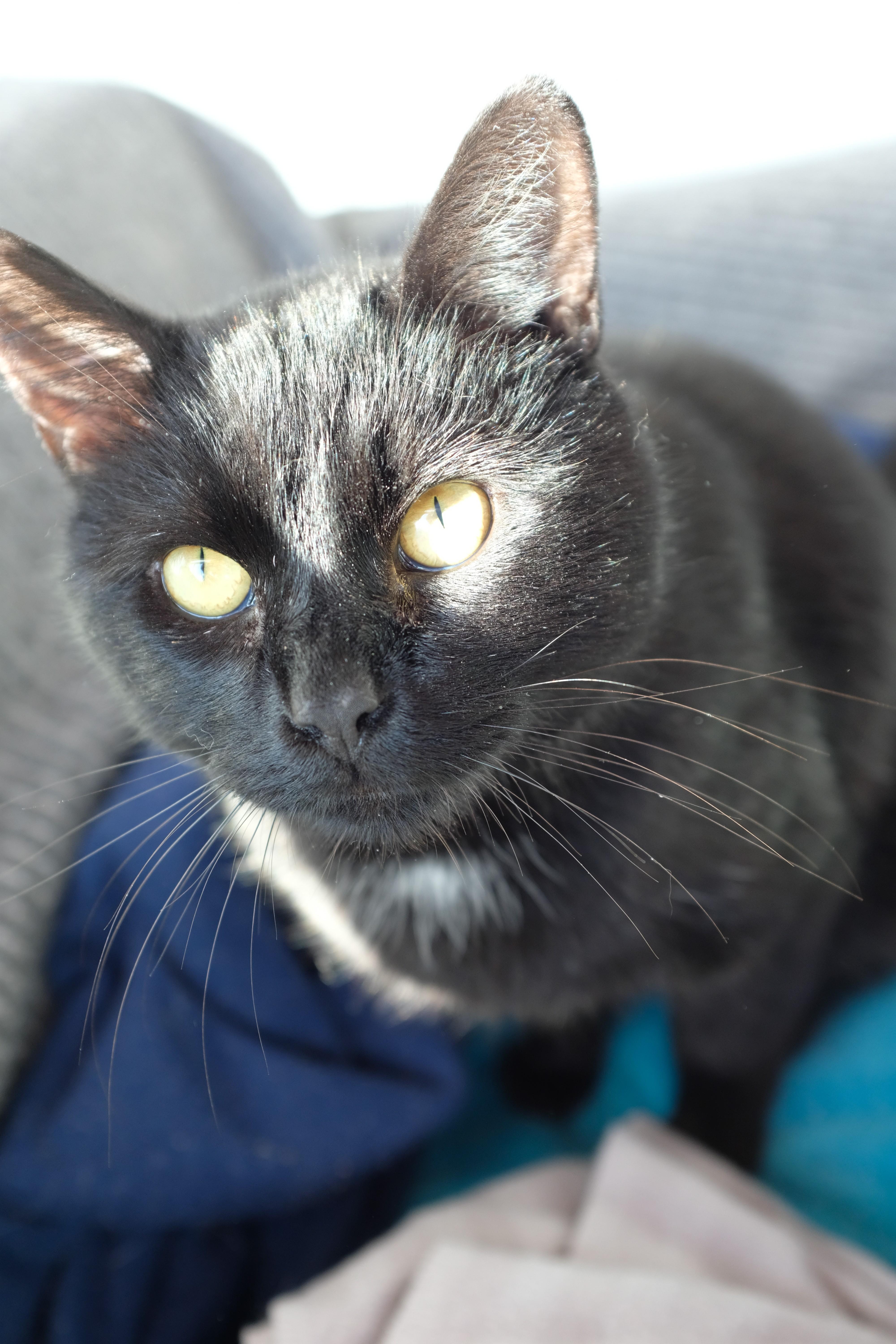 Sprocket thumbnail 2