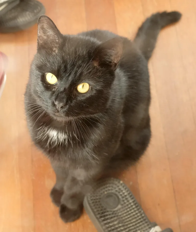 Sprocket thumbnail 4