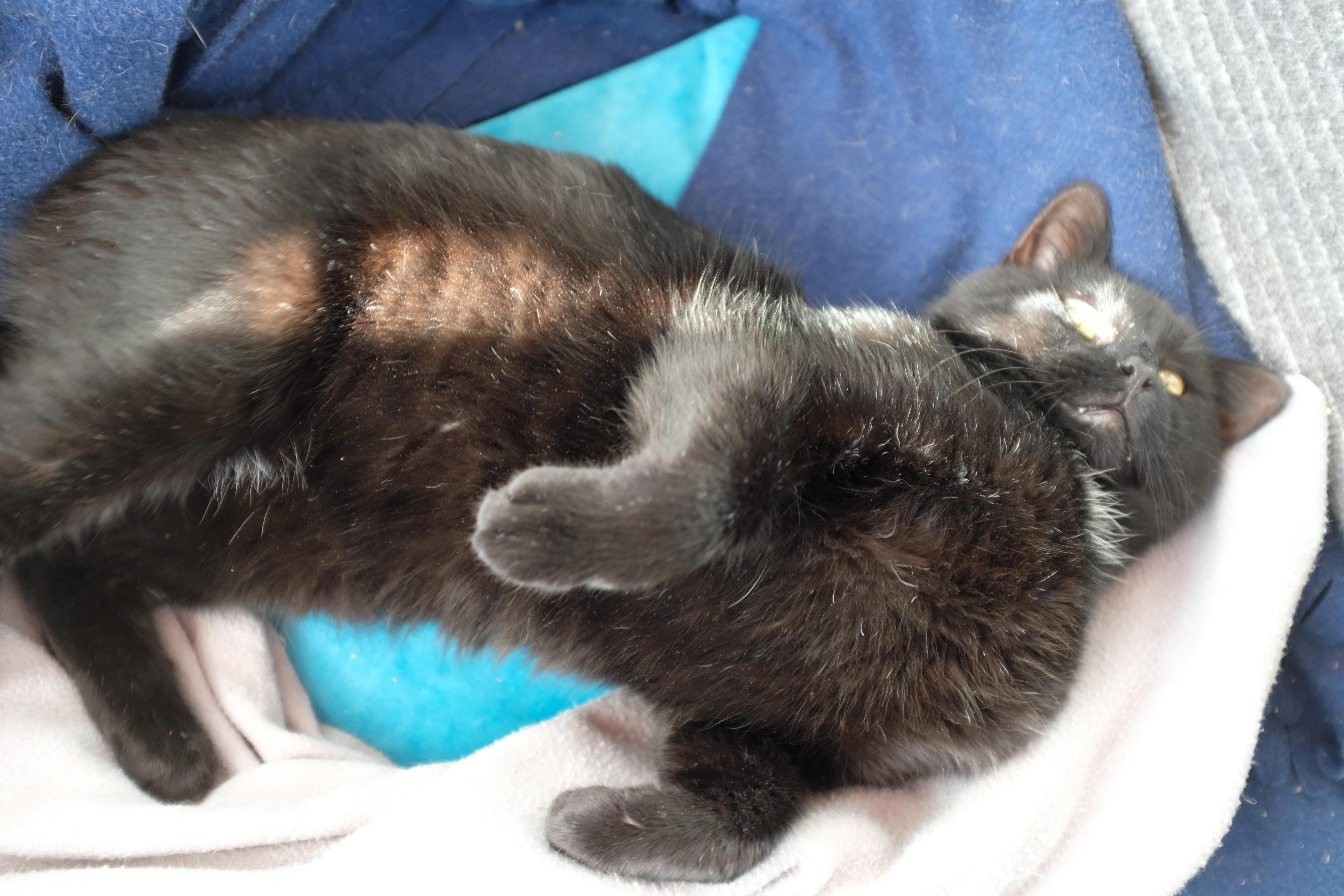 Sprocket thumbnail 5