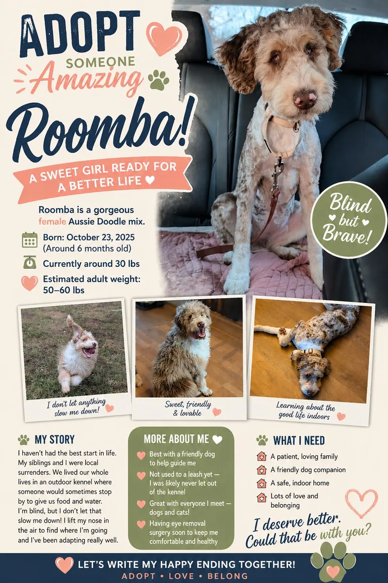 Roomba   $ thumbnail 4