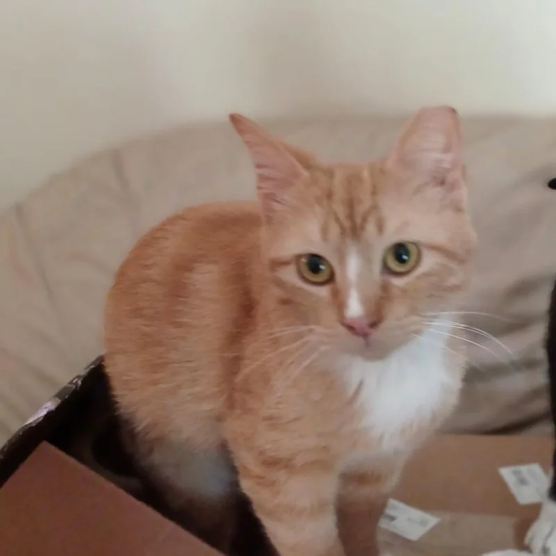 Captain Aka Thomas R thumbnail 2