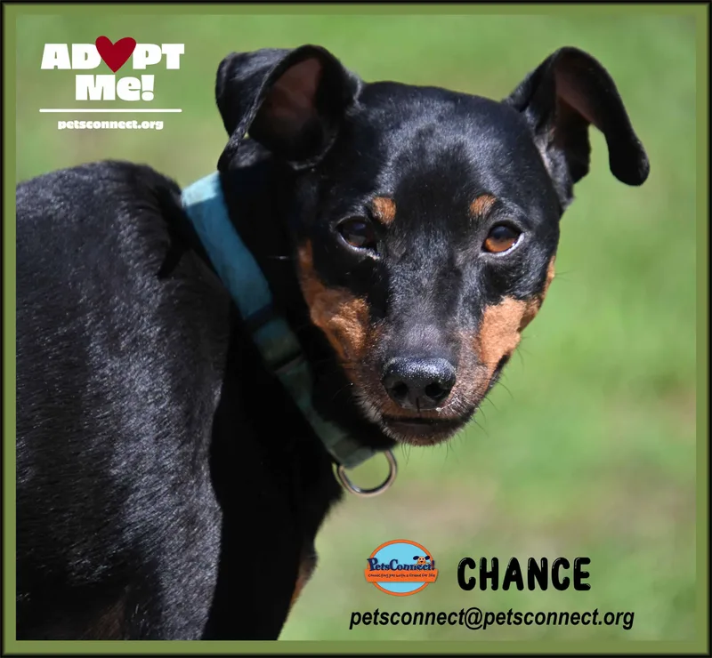 Chance