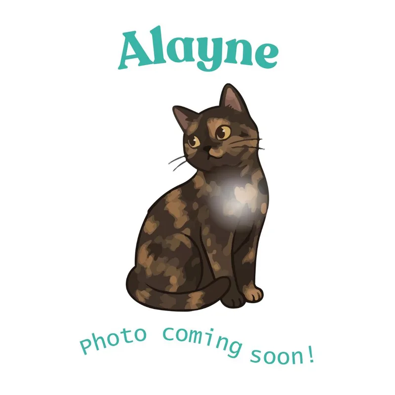 Alayne thumbnail 5