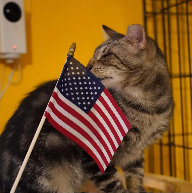 Geordi La Forge thumbnail 2