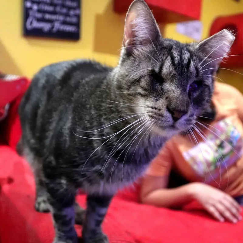 Geordi La Forge thumbnail 5