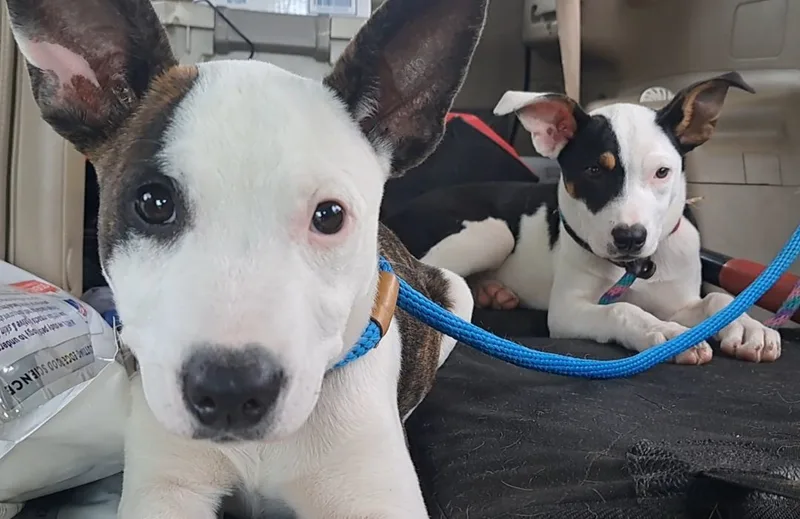 Colby And Camden thumbnail 3