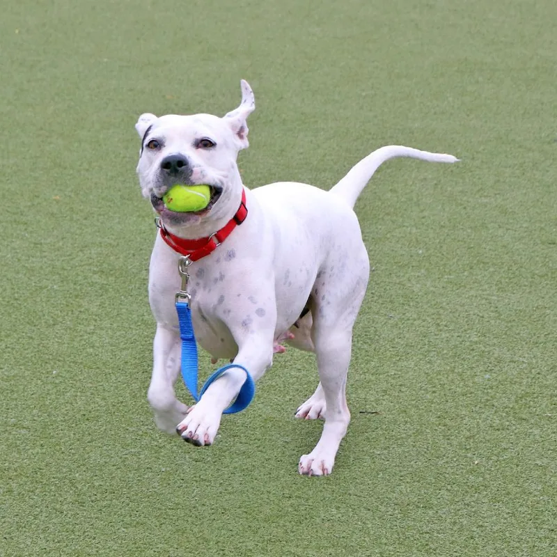 Mama Mia thumbnail 3