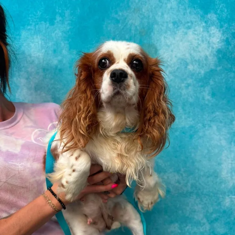 Tessa thumbnail 5