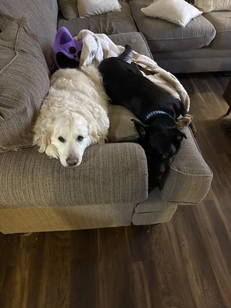 Cooper Boy thumbnail 3