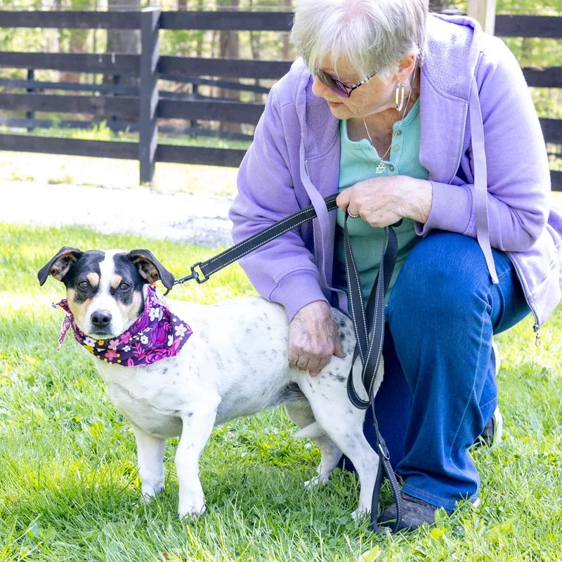 Spotsy    thumbnail 2