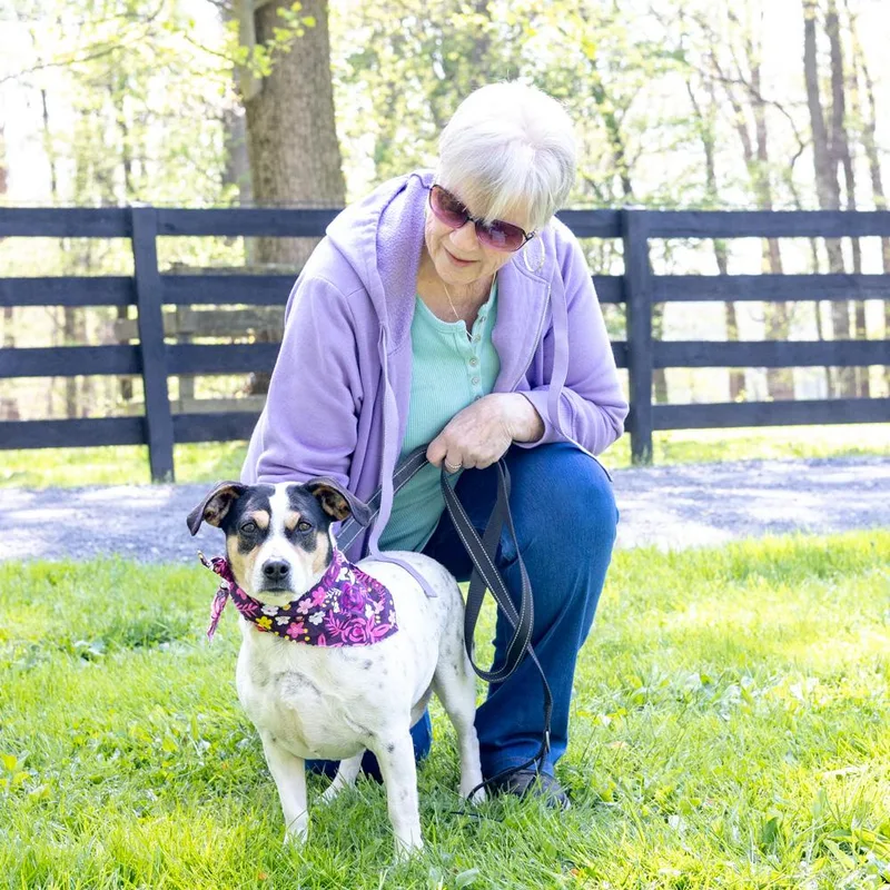 Spotsy    thumbnail 3