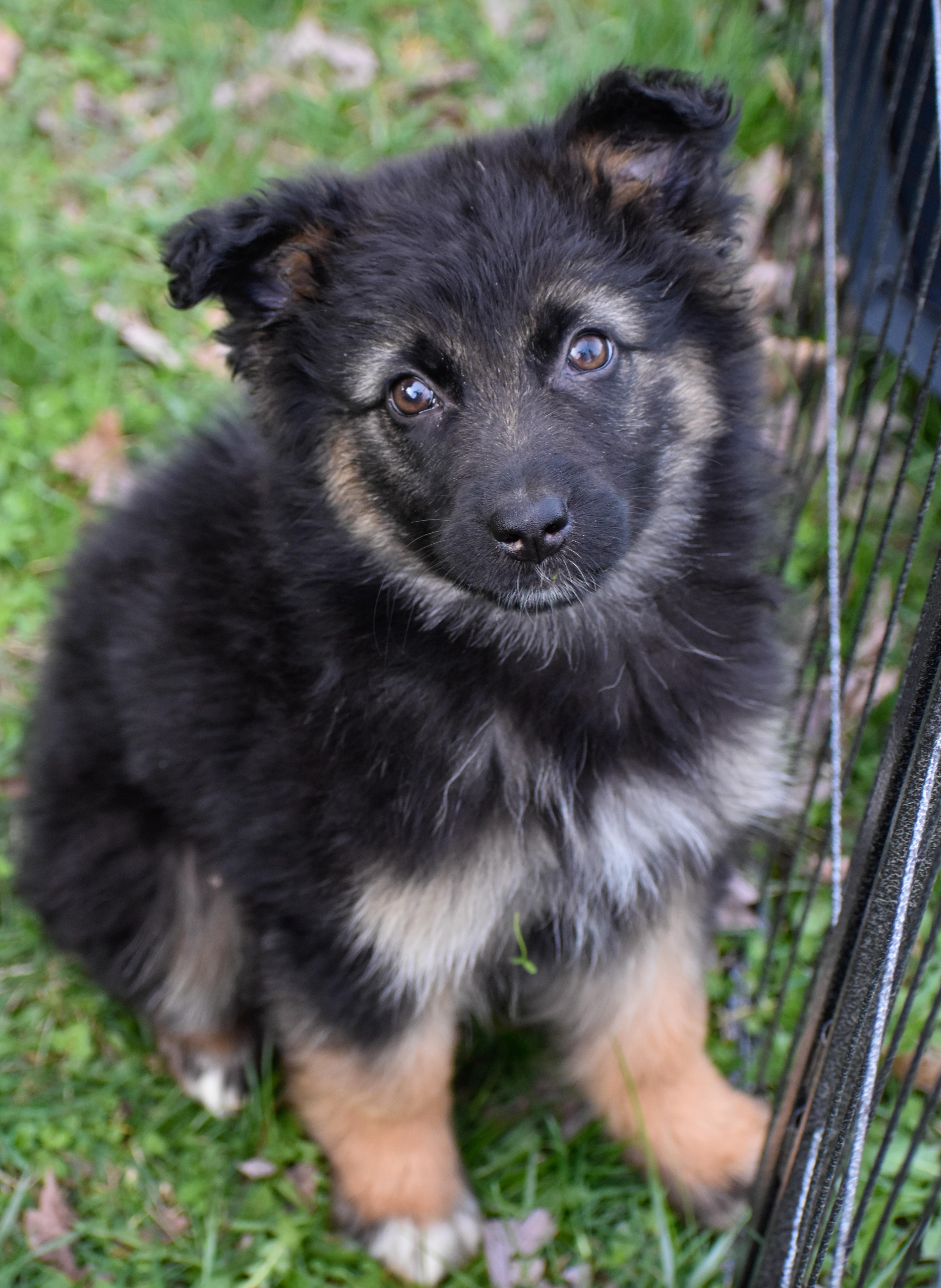 Genevieve thumbnail 2