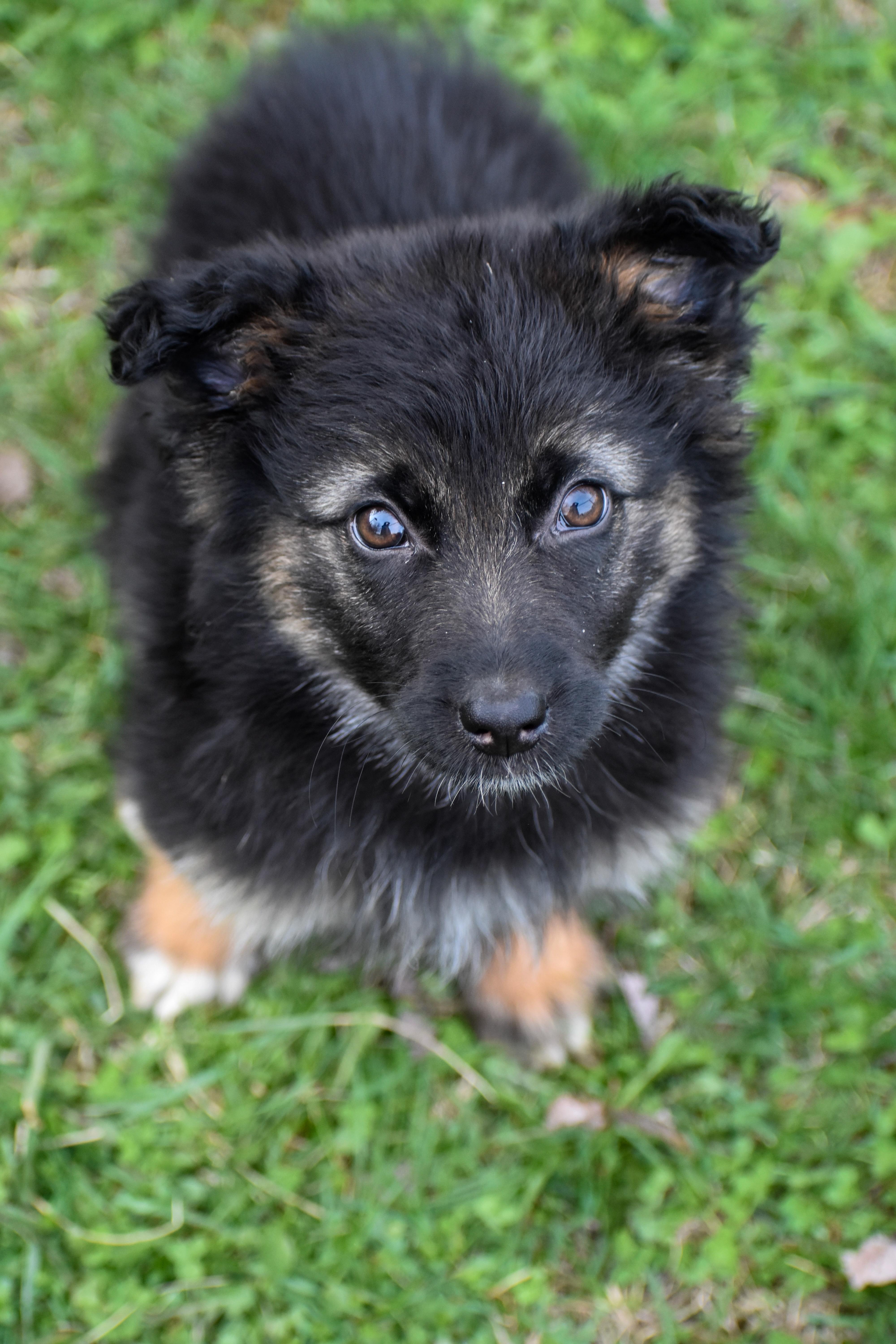 Genevieve thumbnail 3