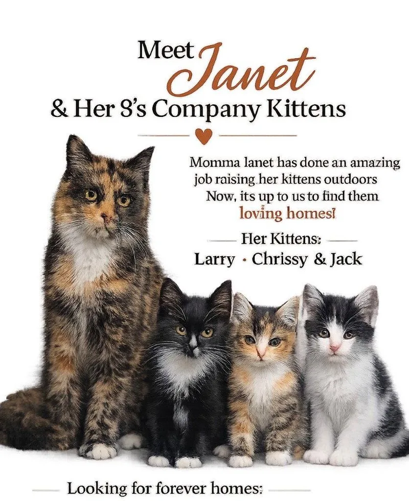 Janet thumbnail 3