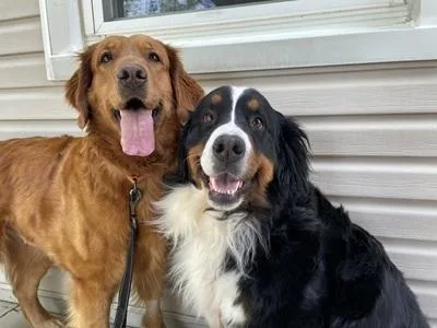 Lady and Lola