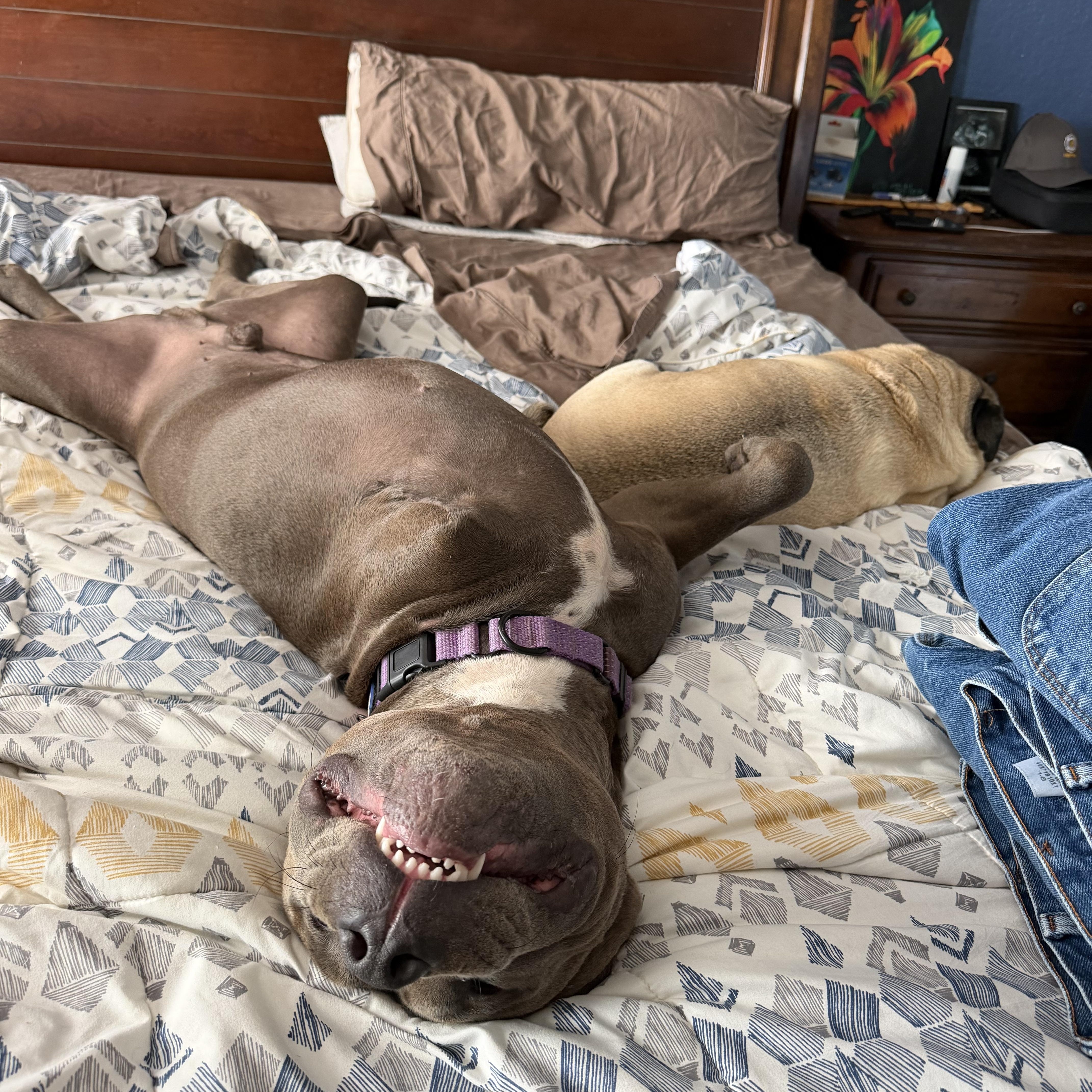 Atlas thumbnail 2