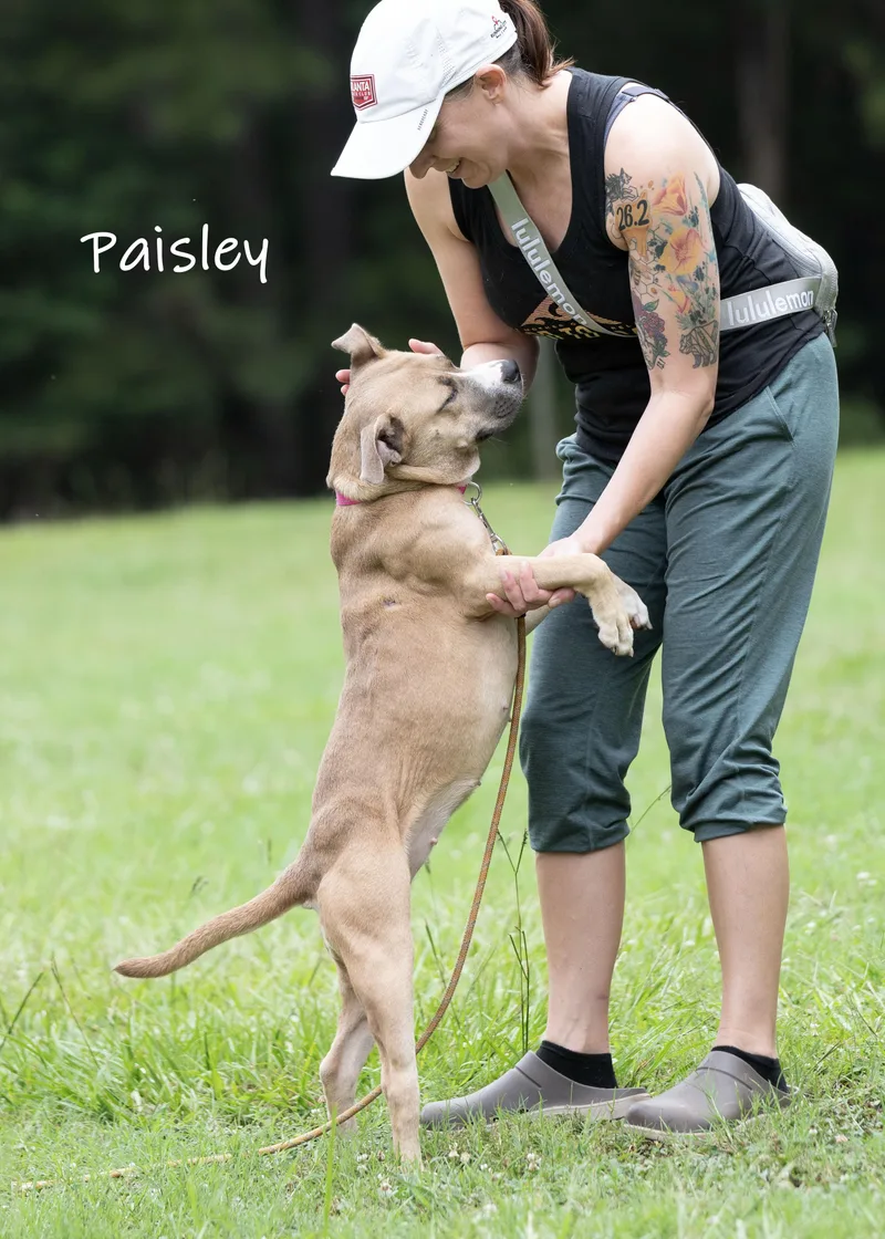 Paisley thumbnail 2