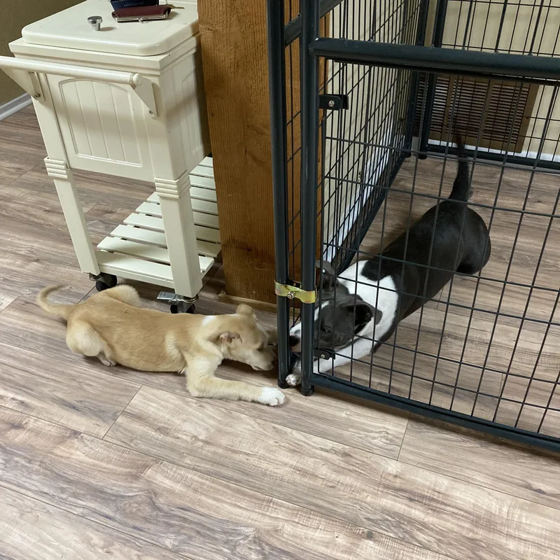 Ms. Paige thumbnail 2