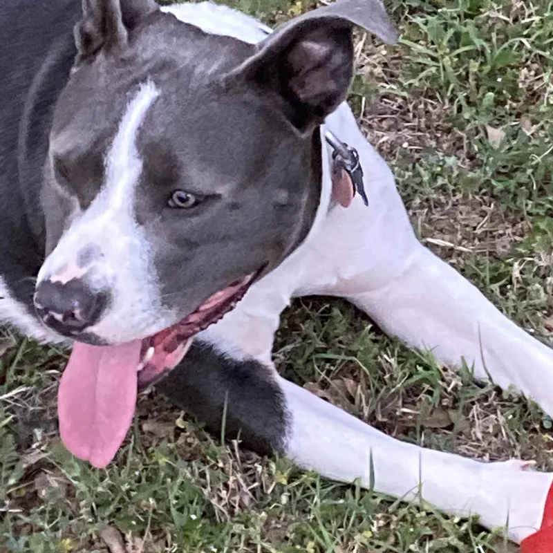 Ms. Paige thumbnail 3