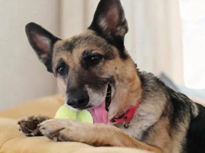 Lovable Rylee Your Couch thumbnail 3