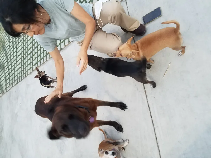 Miles And Minimiles thumbnail 2