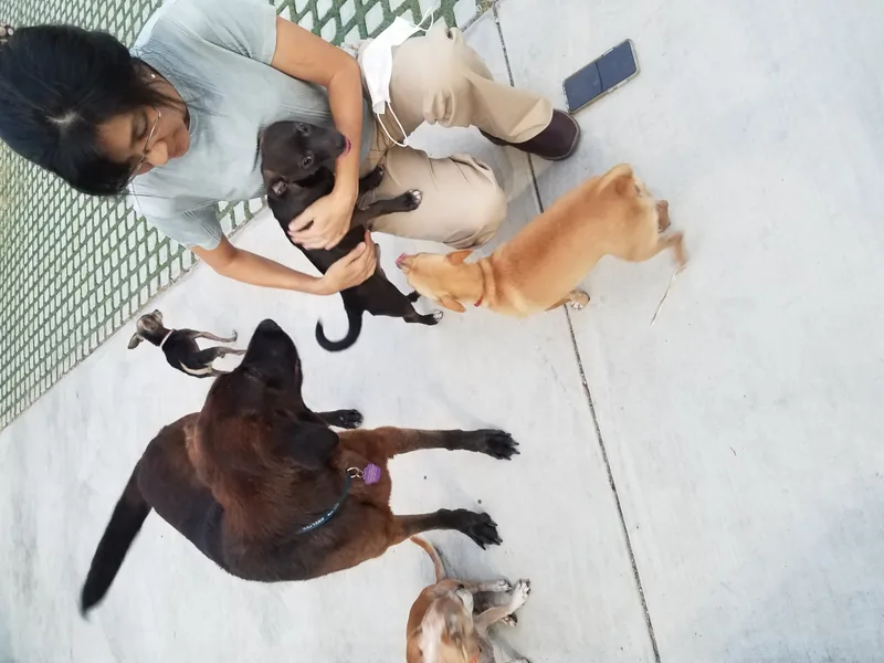 Miles And Minimiles thumbnail 3