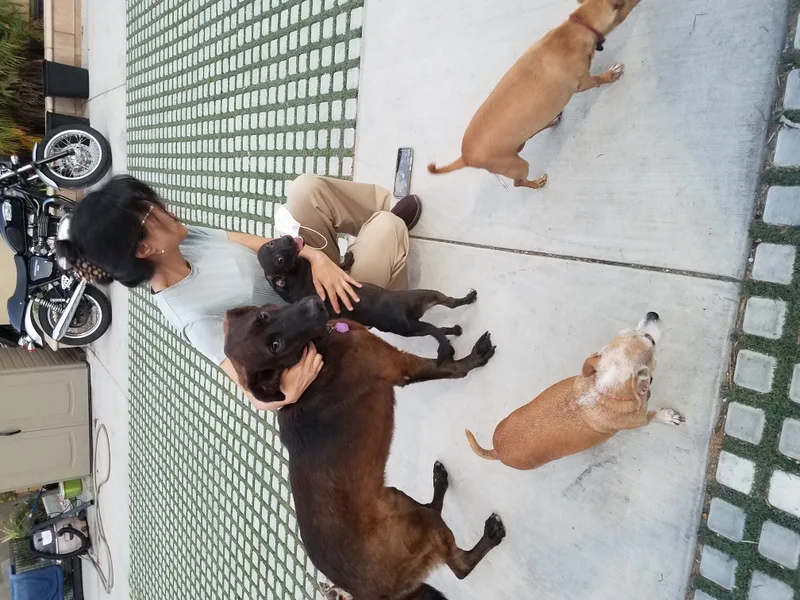 Miles And Minimiles thumbnail 4