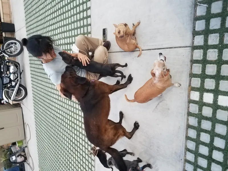 Miles And Minimiles thumbnail 5